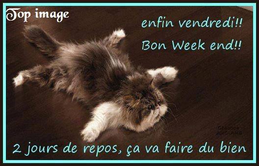 images gifs 5 vendredi - Page 5
